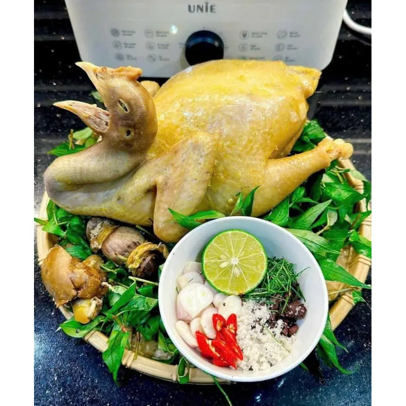 🔥 Nồi hấp UNIE UE560 – Dung tích lớn 18L, 3 tầng hấp, đa năng vượt trội 🍲♨️ 781725