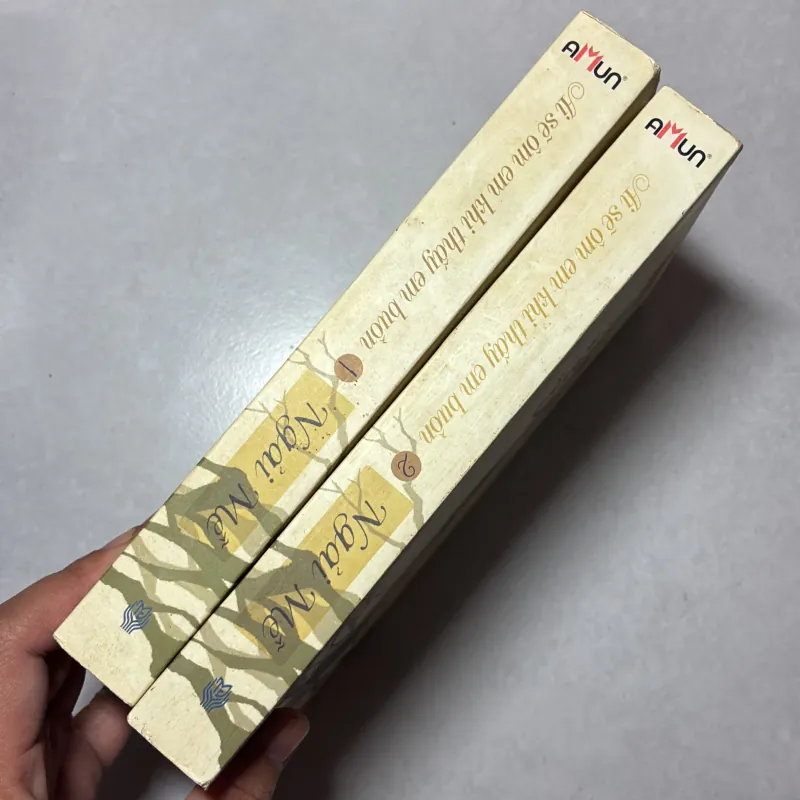 Ai sẽ ôm em khi thấy em buồn (trọn bộ 2 tập) - Ngải Mễ 796300