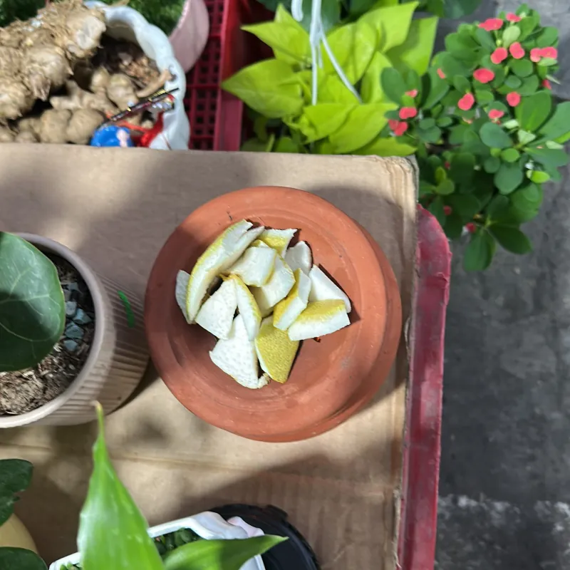 Lò xông  tinh dầu 757077