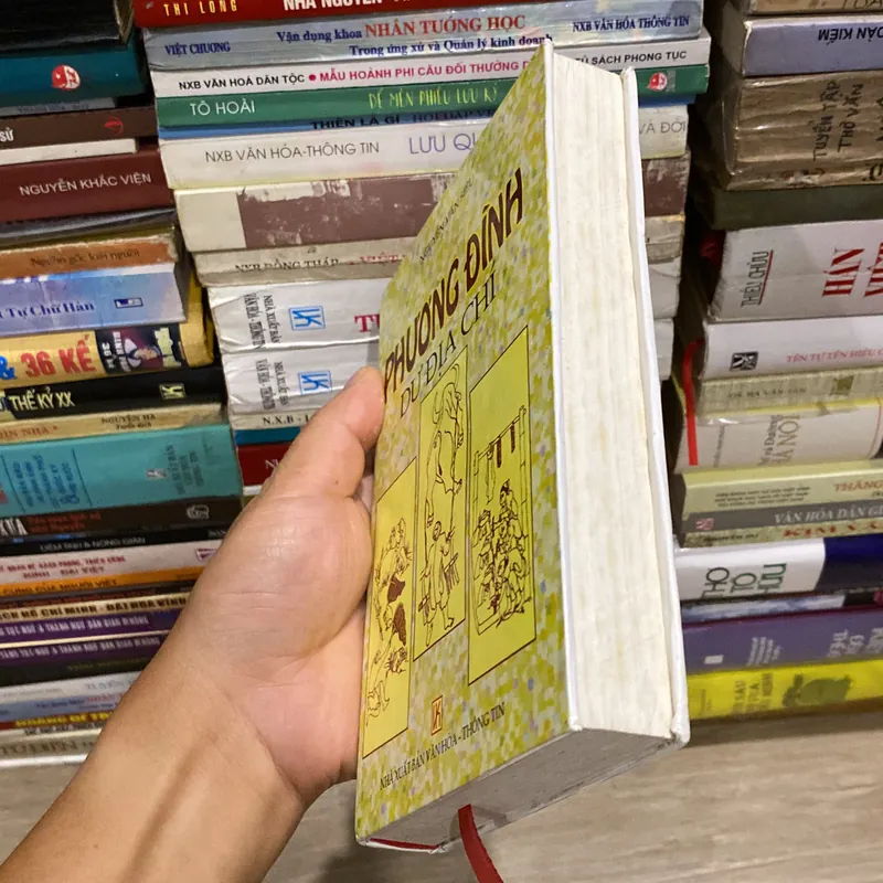 PHƯƠNG ĐÌNH DƯ ĐỊA CHÍ, bìa cứng (XB 2001) 732993