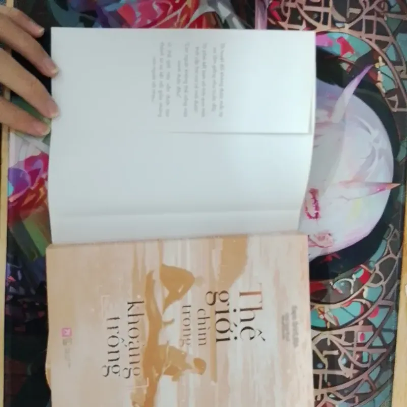 THẾ GIỚI CHÌM TRONG KHOẢNG TRỐNG LIGHT NOVEL 761950