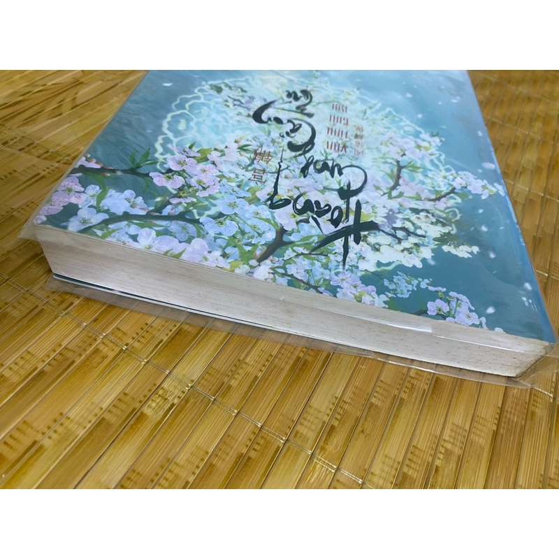 Hoàng cung cẩm tú 479234