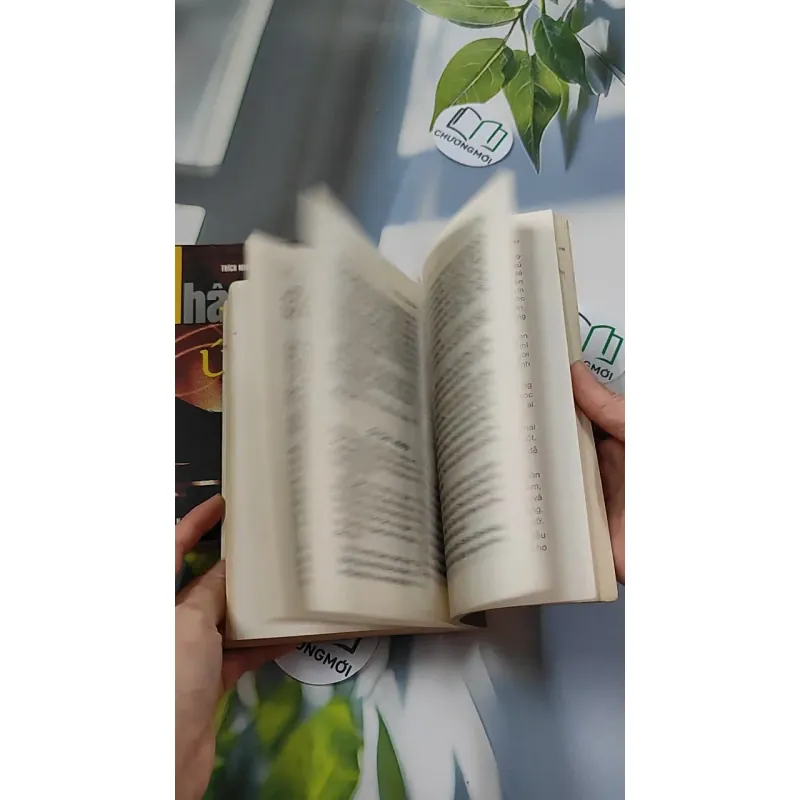 Combo: Nhân Quả Báo Ứng, Báo Ứng Hiện Đời 776102