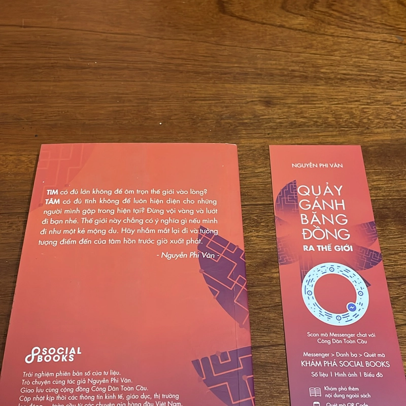 Sách Kỹ Năng: Quảy Gánh Băng Đồng Ra Thế Giới - Nguyễn Phi Vân - 2018 499934