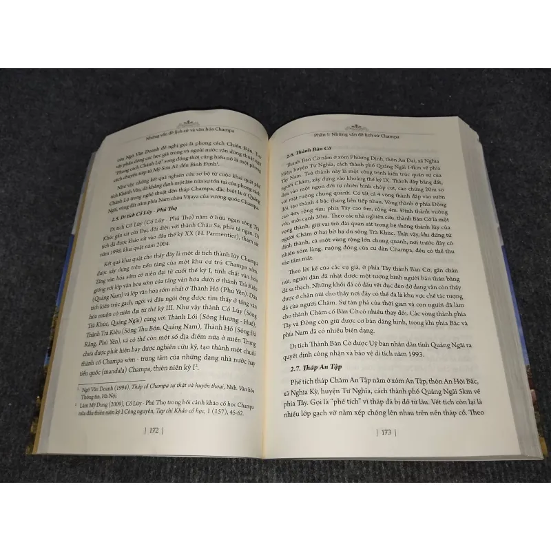 NHỮNG VẤN ĐỀ LỊCH SỬ VÀ VĂN HOÁ CHAMPA 992274