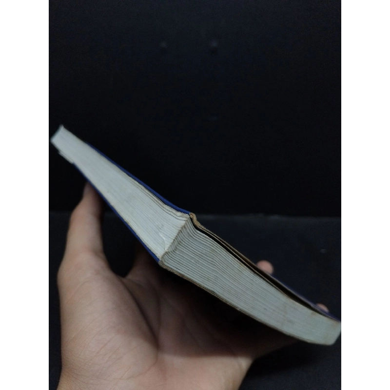 Hãy giúp tôi! mới 80% ố bẩn 2005 HCM2207 Helmut W. Horchler QUẢN TRỊ 916085