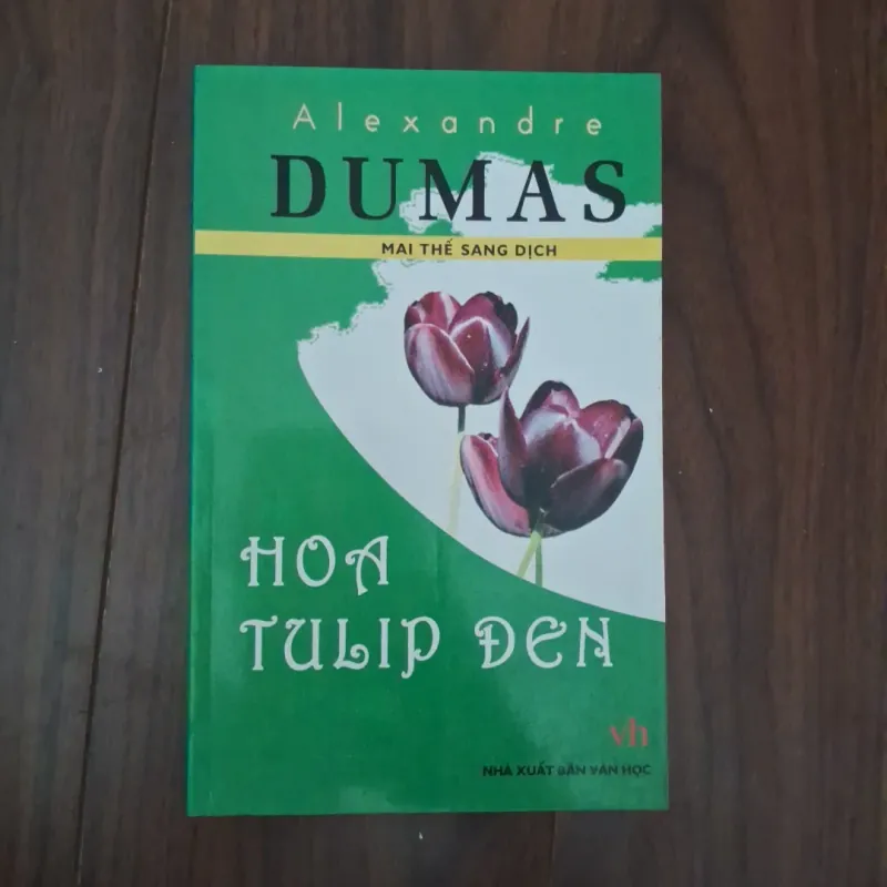Hoa tulip đen 748114