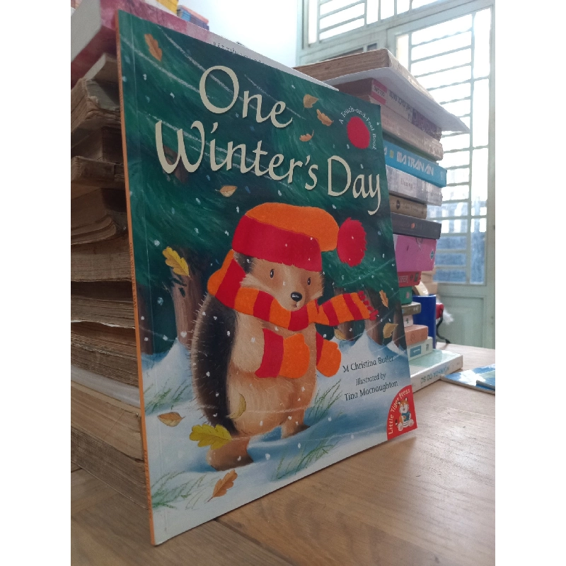 One Winter's Day - M Christina Butler, Tina Macnaughton - Little Tiger Press 995423