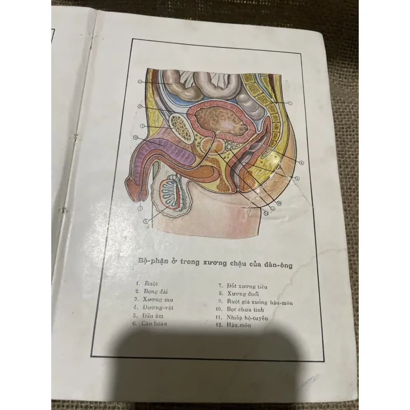 Sức khỏe chị nam- sách y trước 75-  800213