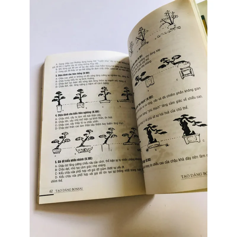 TẠO DÁNG BON SAI 719432