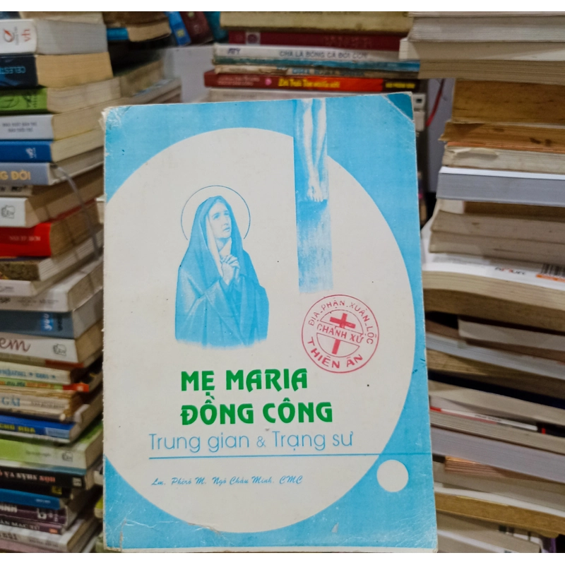 Mẹ Maria đồng công 🌻 525796