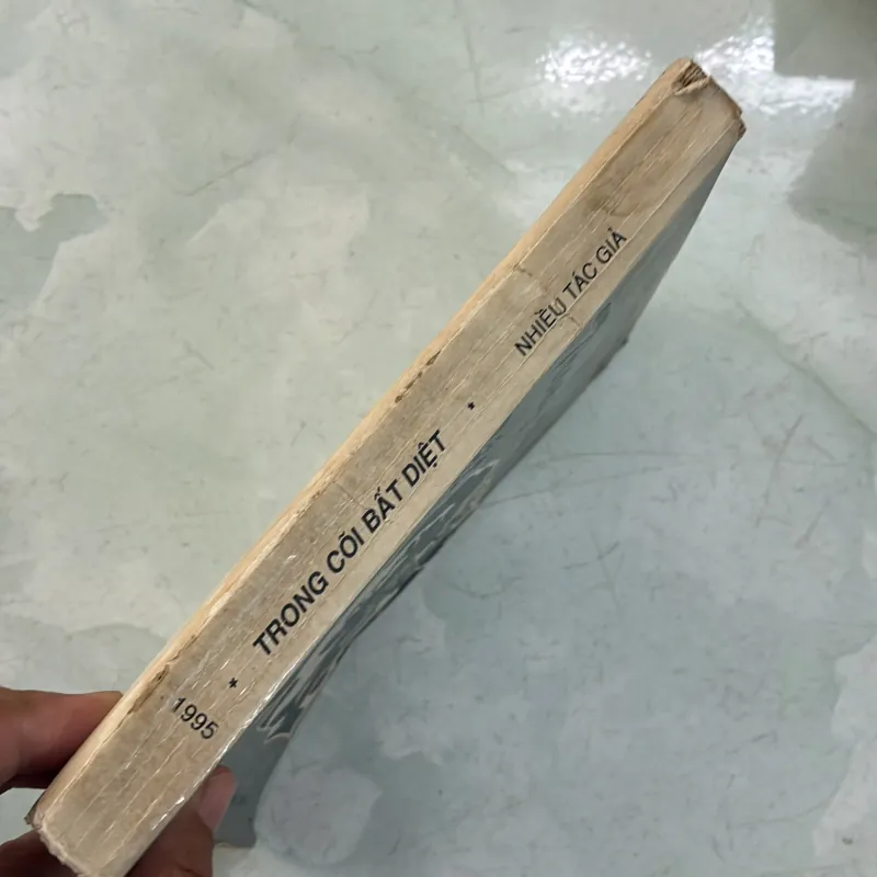 Trong cõi bất diệt - 1995s 996270