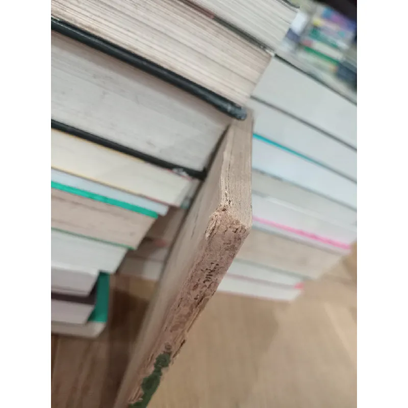 đồng bằng sông cưu long - Lê Minh 551886