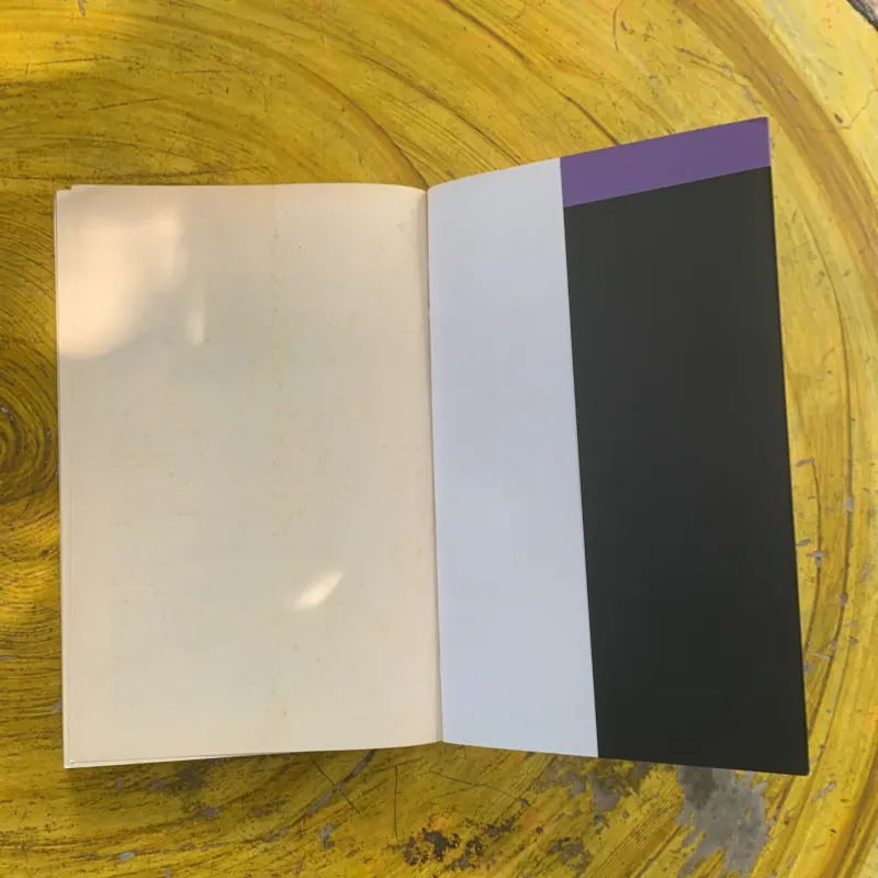 TRỊNH CÔNG SƠN THƯ TÌNH GỞI MỘT NGƯỜI 1023329