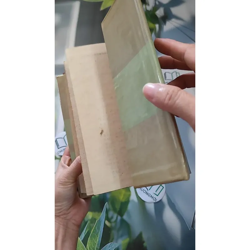 [MIỄN PHÍ BỌC SÁCH] [XƯA] Từ Điển Từ Ngữ Mới Tiếng Hán - 汉语新语词词典 (Hanyu Xinyuci Cidian) (1988) - Hàn Minh An 990073