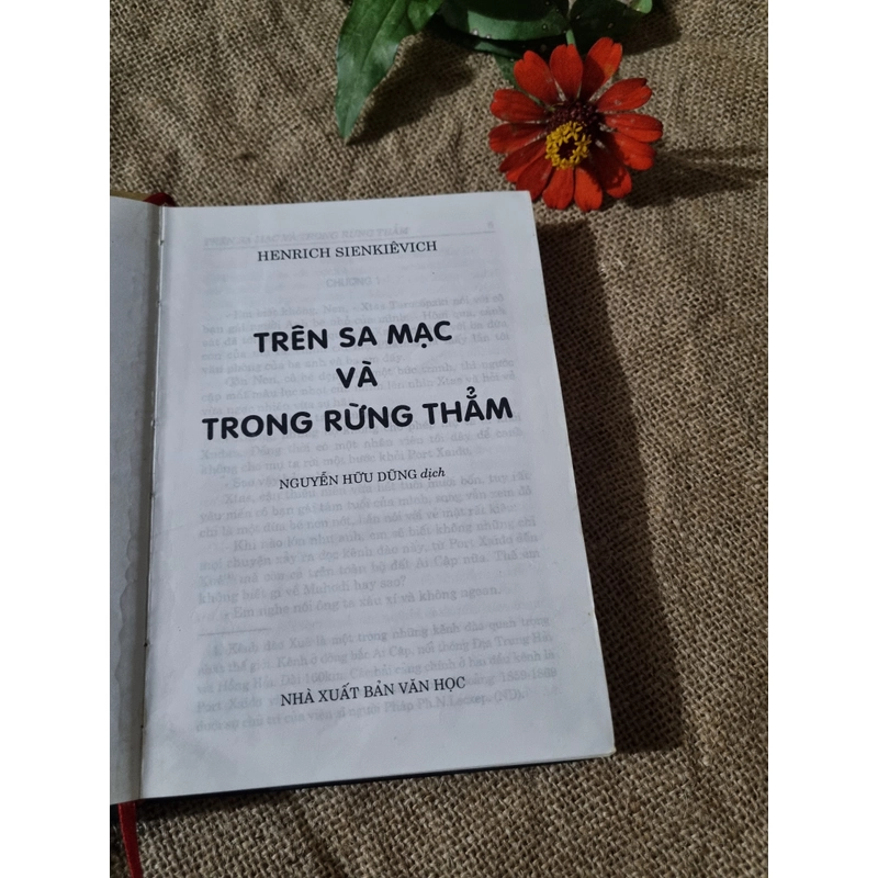 Trên sa mạc và trong rừng thăng. Bìa cứng  303797