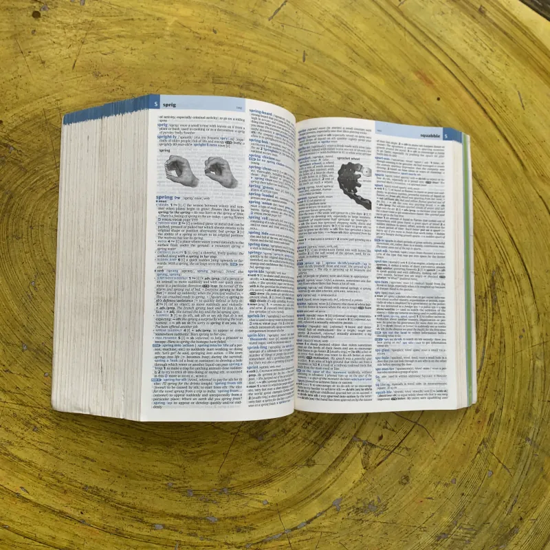 OXFORD ADVANCED LEARNER’S DICTIONARY- new 8 th edition  799946