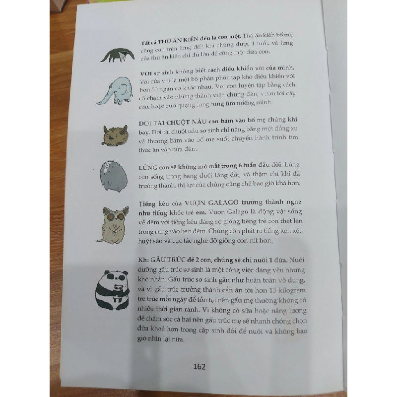 Những sự thật đáng lòng & Giới động vật sơ sinh 550496