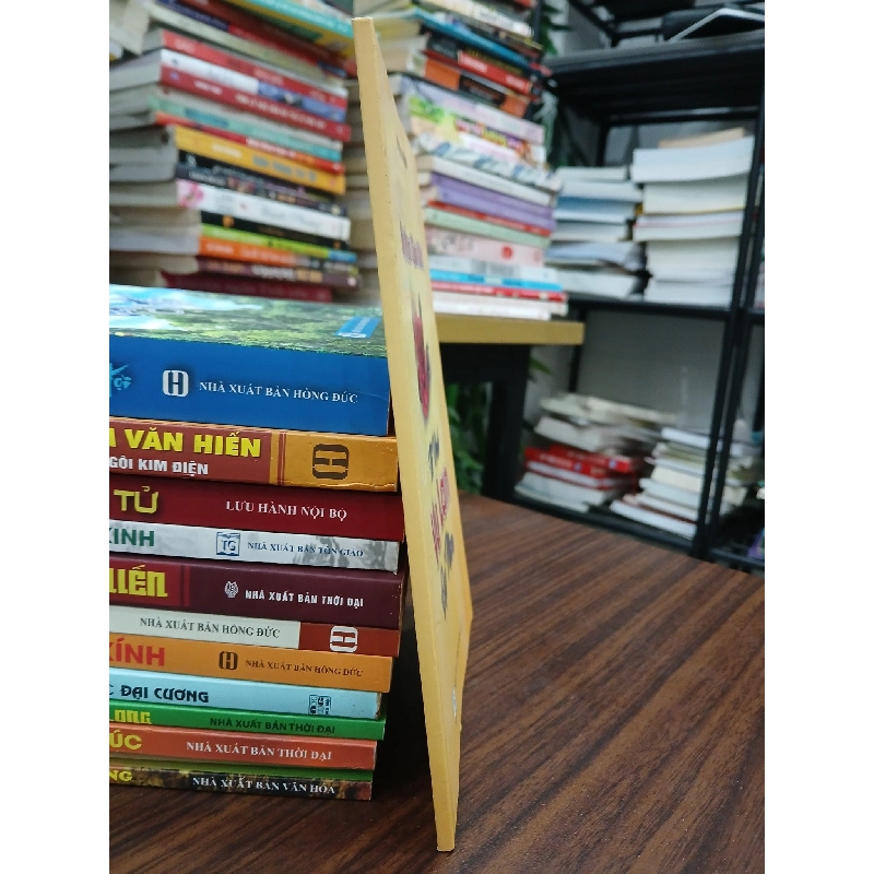 Thi Vịnh Vu Lan Đại Nam- Huỳnh Uy Dũng 791300