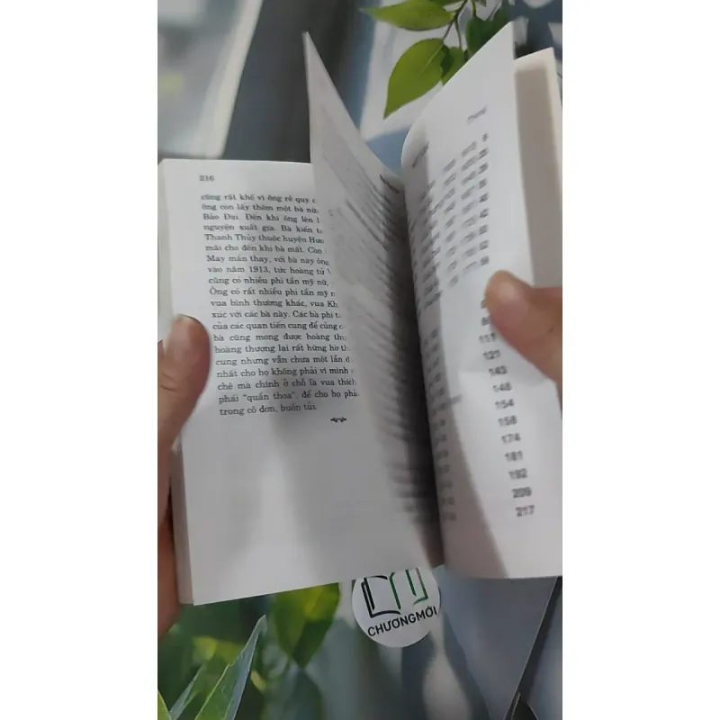 Nhà Nguyễn Chín Chúa Mười Ba Vua - Thi Long 970255