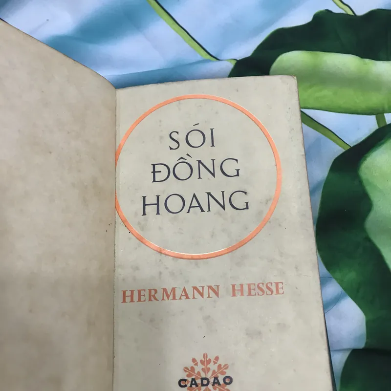 Sói đồng hoang - Hermann Hesse 591294