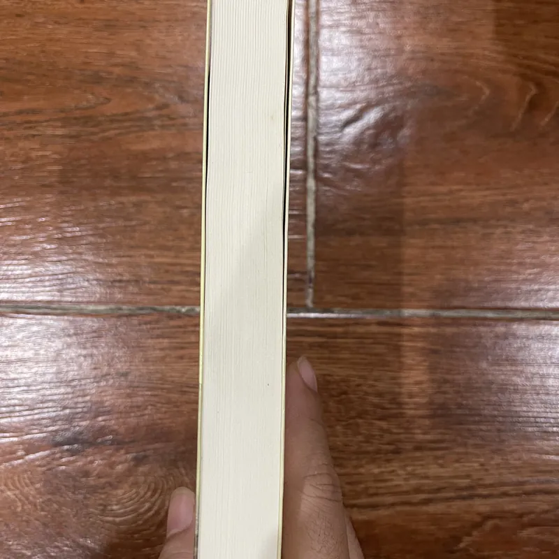 Người đưa diều (8) 620947