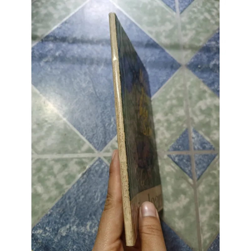 Mầu tím hoa sim thơ - Hữu Loan 975099