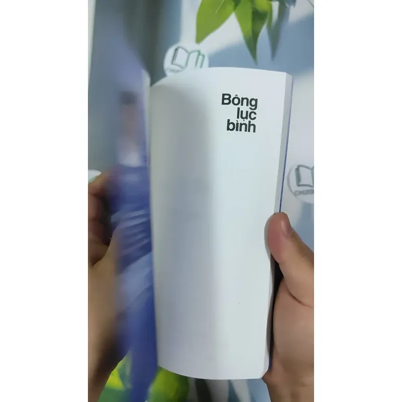 Bông Lục Bình - Mạnh Hà 798483