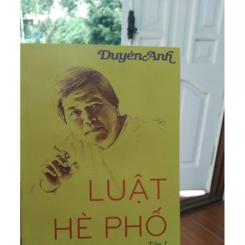 Luật hè phố - tác giả Duyên Anh 223740