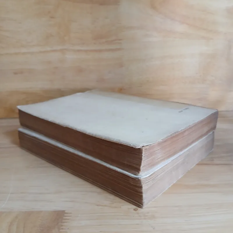 Tiểu Thuyết Việt Nam Hiện Đại (Bộ 2 Tập, Xb 1975) - Phan Cự Đệ 1026236