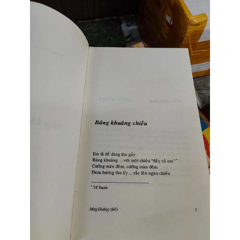 Bâng khuâng chiều - Đặng Nguyệt Anh 1028041