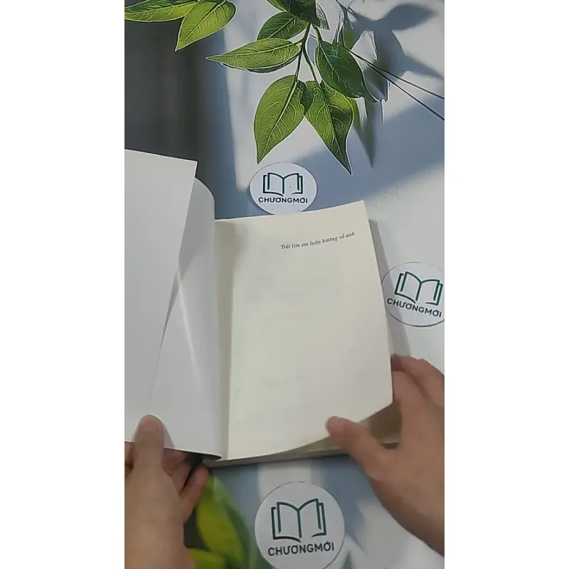 Trái tim em luôn hướng về anh - Diệp Tử 694937