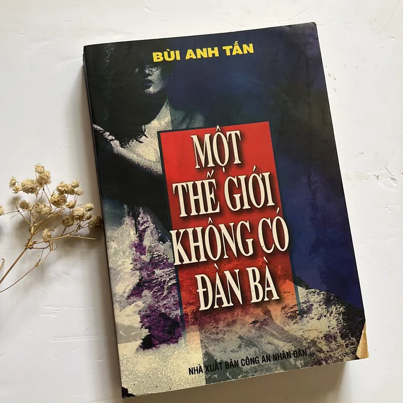 Bán sách cũ – Một Thế giới không có đàn bà – Bùi Anh Tấn 564638