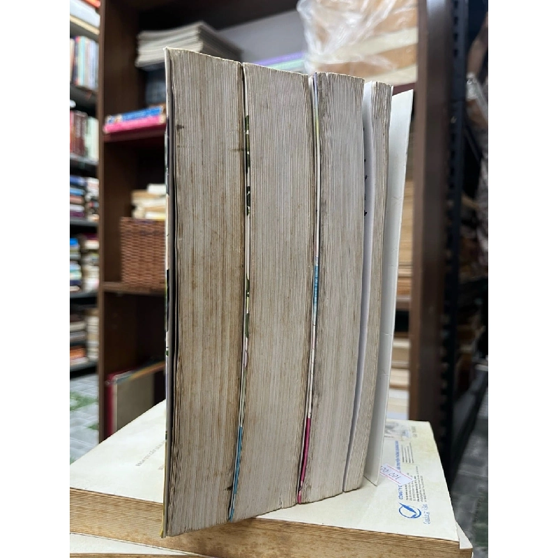 Thiếu nữ toàn phong 493855