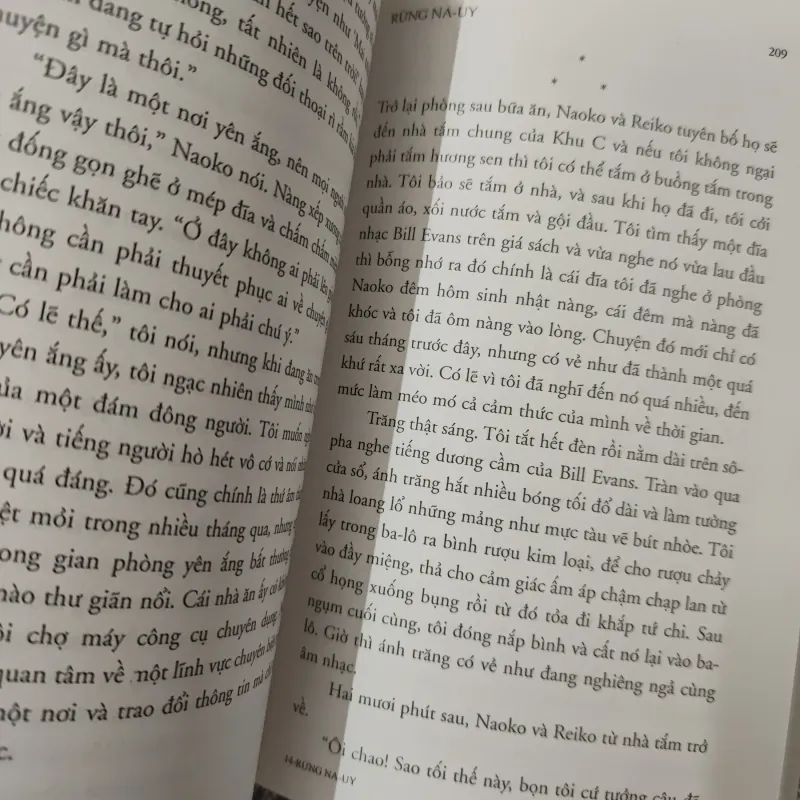 Rừng Na Uy 1030331