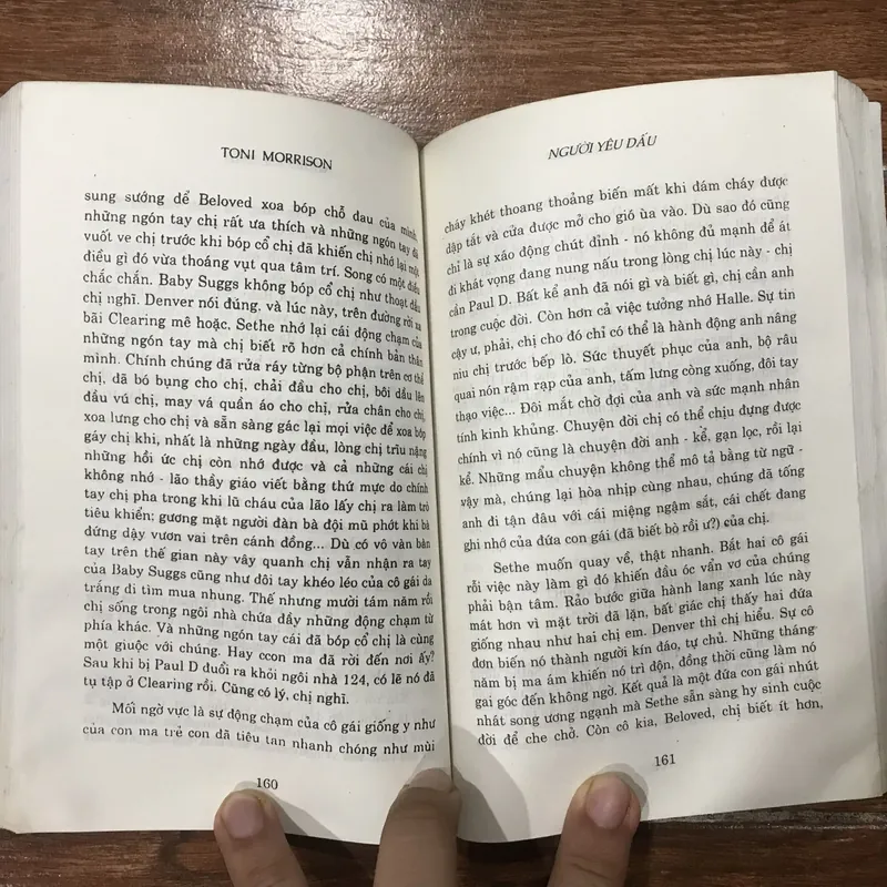 Người yêu dấu (8) 323047