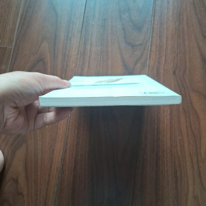 Miền đất xanh 502184