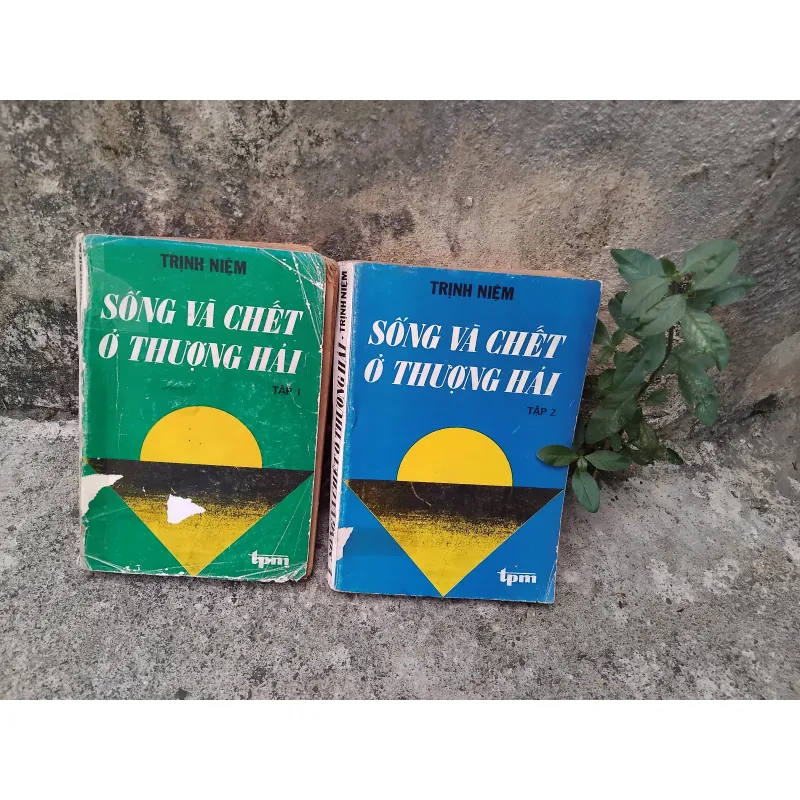 Sống và chết ở Thượng Hải tiểu thuyết của Trịnh Niệm  1019193