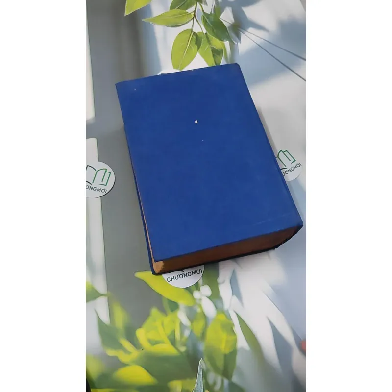 [MIỄN PHÍ BỌC SÁCH] Từ Điển Anh - Việt - Viện Ngôn Ngữ 750747