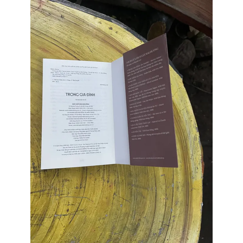 COMBO HECTOR MALOT- KHÔNG GIA ĐÌNH & TRONG GIA ĐÌNH 735560