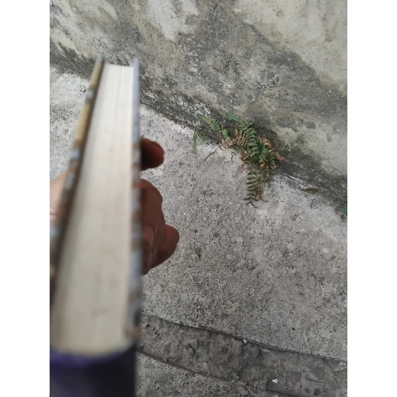 Ngọn lửa Nga tập thơ của Nikolai Rubtsov 1003435