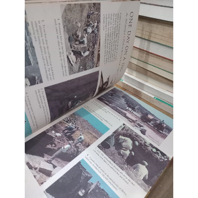 The sciences of mankind - Jane Werner Watson 759592