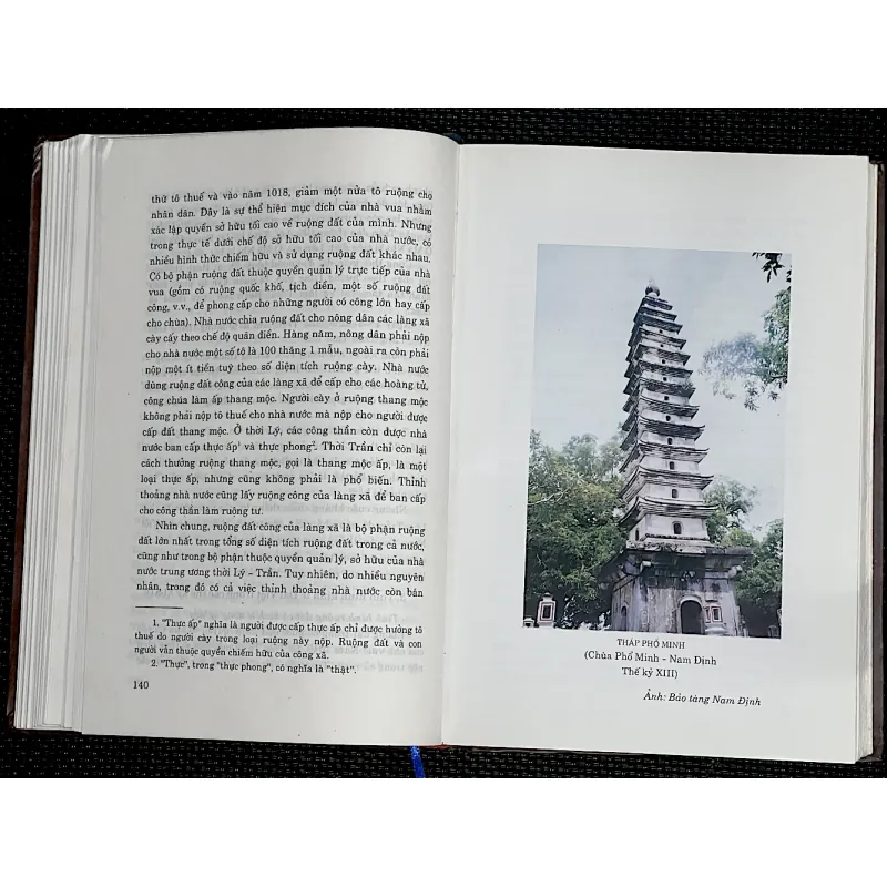 LỊCH SỬ VIỆT NAM GIẢN YẾU - Gs. LƯƠNG NINH ( Chủ biên) 1009598