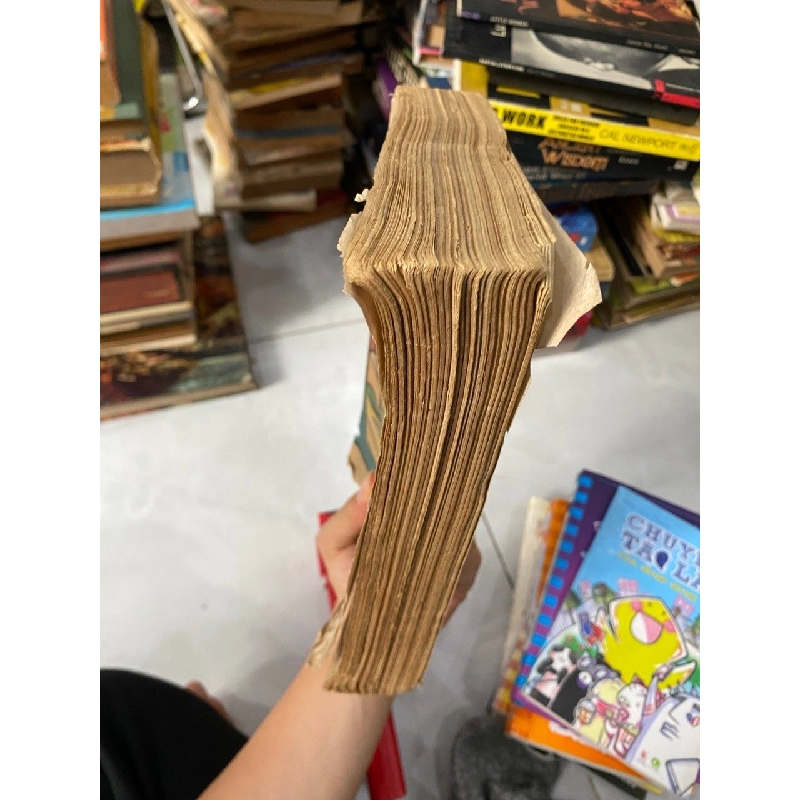 Kỹ Thuật Nấu Nướng - Triệu Thị Chơi 505483
