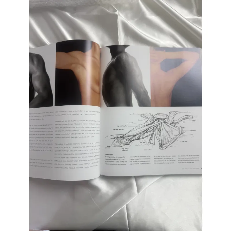 Sách dạy vẽ giải phẫu Anatomy for the Artist Sarah Simblet 1047573