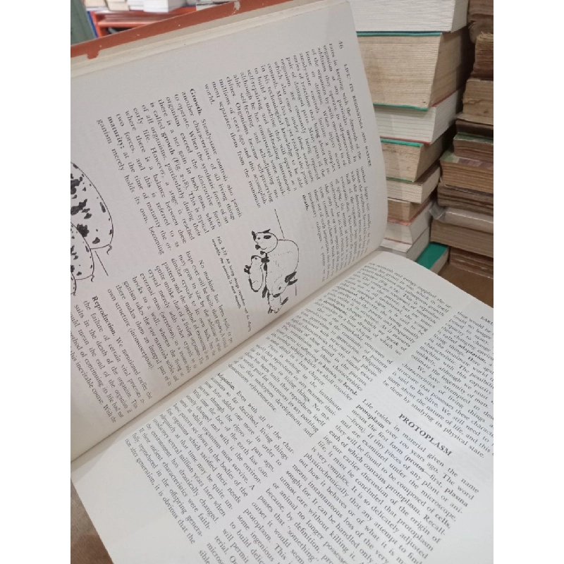 Zoology - Alfred M. Elliott 1031941