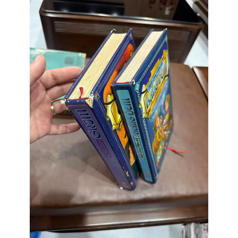 COMBO 2 SÁCH TRUYỆN CỔ TÍCH THIẾU NHI – GRIMM & 365 CHUYỆN KỂ HẰNG ĐÊĐÊMK4 1019986