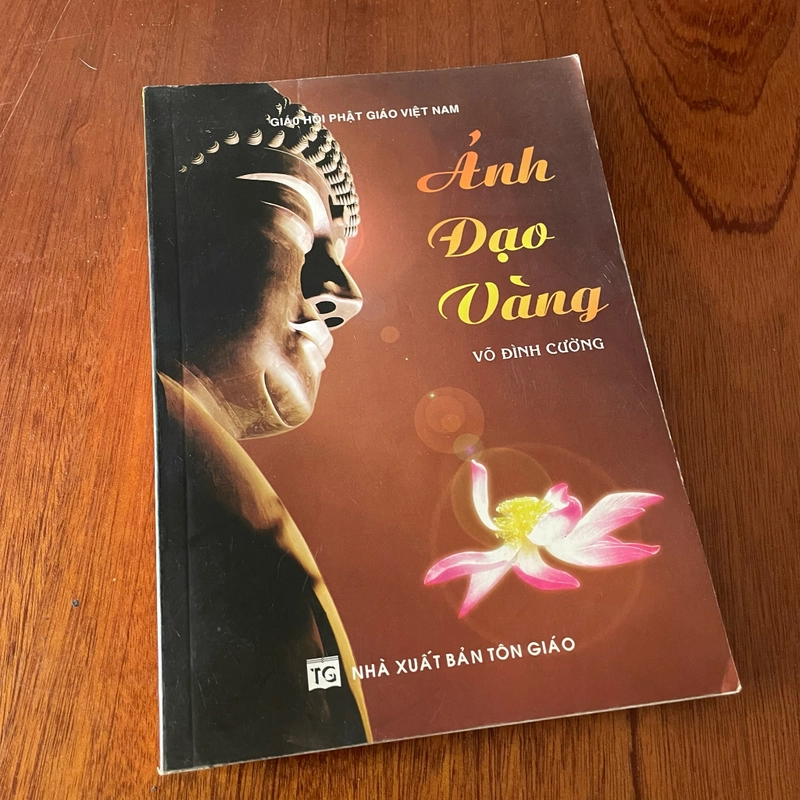 II Tựa sách: Ảnh Đạo Vàng - Võ Đình Cường - 2008 431301