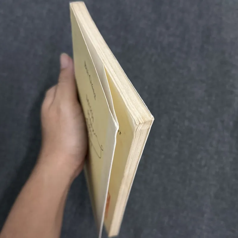 Mười hai con mắt (Di cảo thơ I) - Bùi Giáng 786355