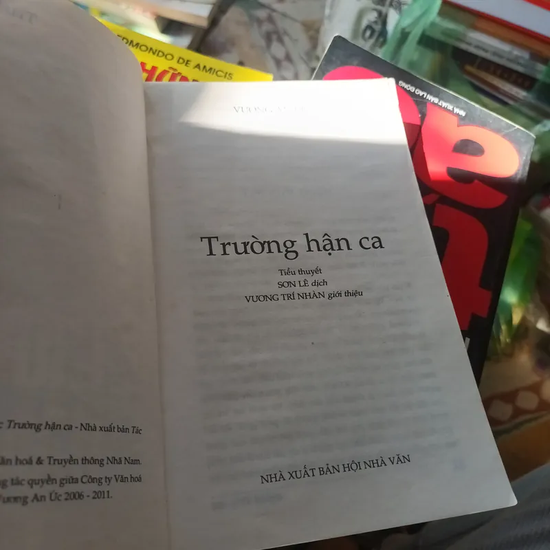 Trường Hận Ca - Vương An Ức 708494